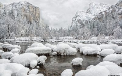 Photo Of The Day By Beth Howell