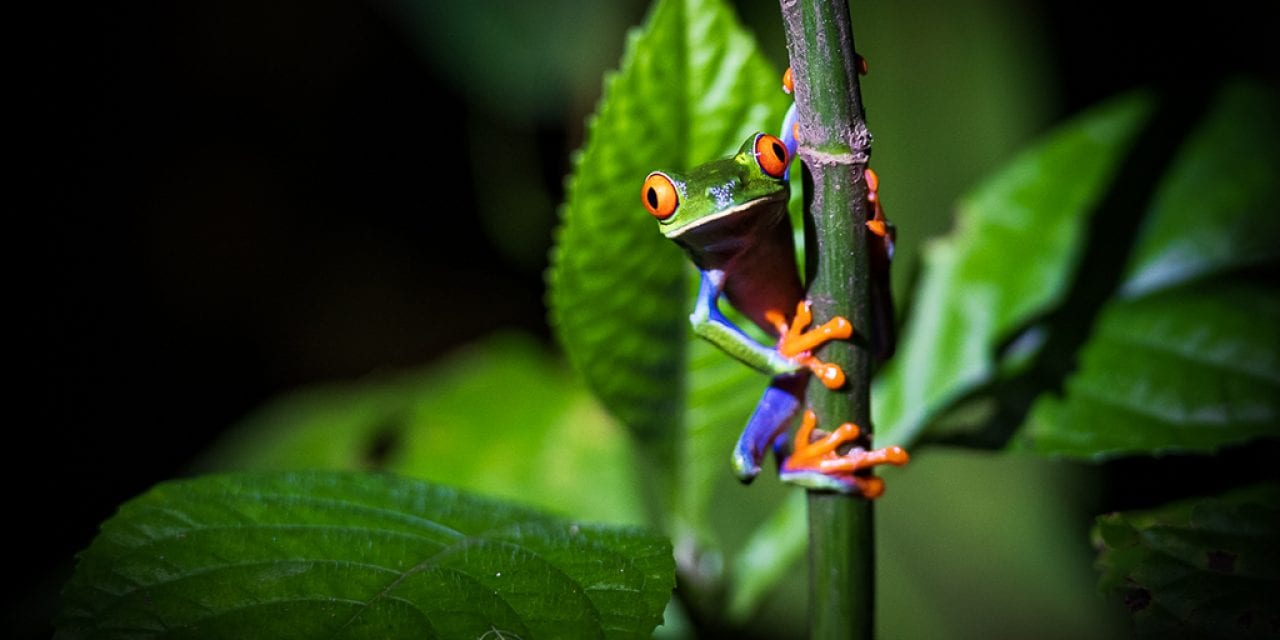 Photo Of The Day By Brian Jarvis