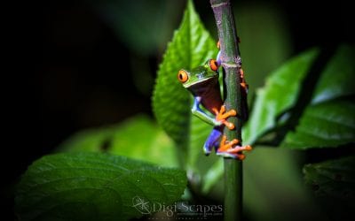 Photo Of The Day By Brian Jarvis