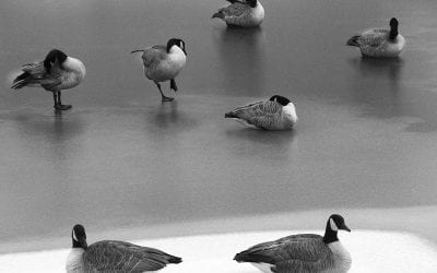 Photo Of The Day By pacificabx