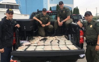 Poachers Who Took 65 Walleyes from Detroit River Hit with Big Fines