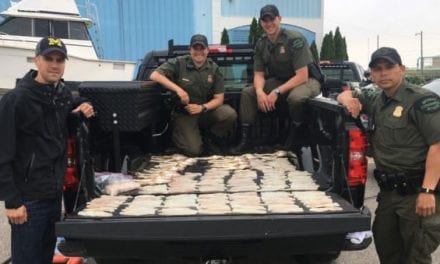 Poachers Who Took 65 Walleyes from Detroit River Hit with Big Fines