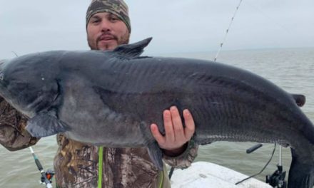 Potential Texas State Record Channel Catfish Turns Out to Be a Hybrid!