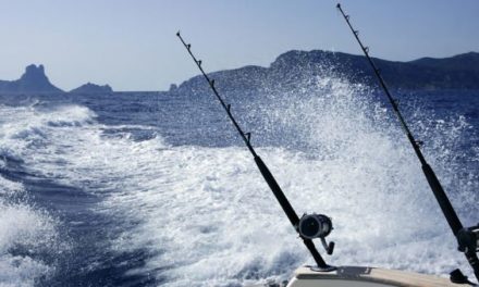 Proposed Bill Could Virtually Put an End to Sport Fishing in Puerto Rico