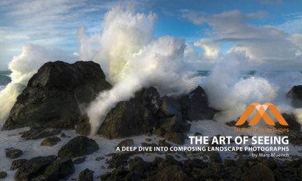 reCOMPOSE Podcast 050: The Art of Seeing, Part 1
