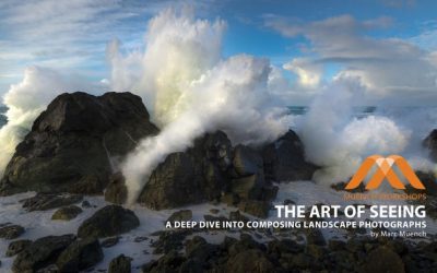 reCOMPOSE Podcast 051: The Art of Seeing, Part 2