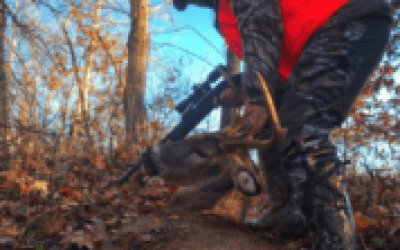 Should You Worry About Eating Venison? 6 Expert Opinions