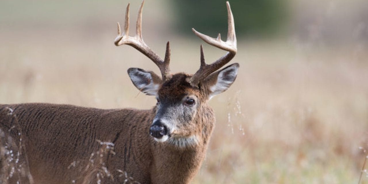 South Dakota One Step Closer to Sweeping Deer Hunting Changes