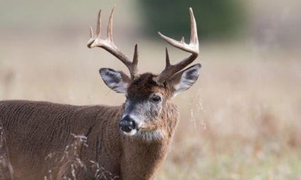 South Dakota One Step Closer to Sweeping Deer Hunting Changes