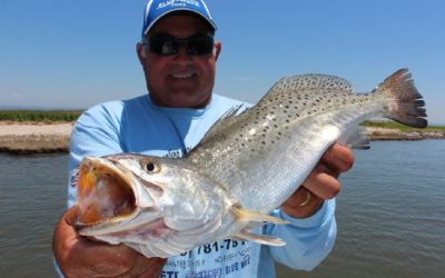 Speckled Trout Numbers Down In Louisiana