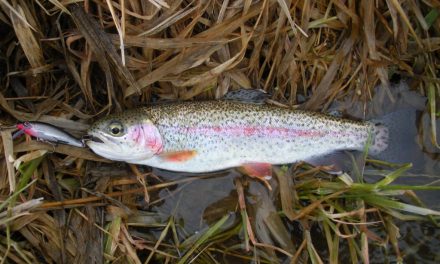 Spring Trout Stocking Update, March 28, 2019