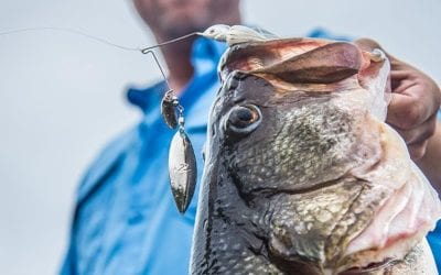 Super-Tuned SlingBlade Z Spinnerbait for Bass