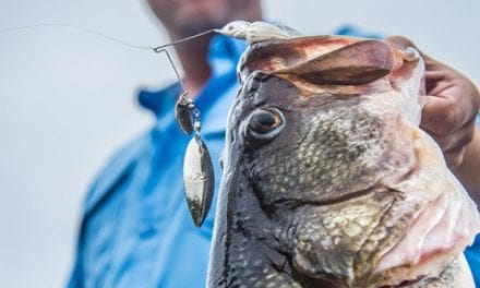 Super-Tuned SlingBlade Z Spinnerbait for Bass