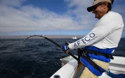 Tag A Giant (TAG) Pacific bluefin tuna tagging program