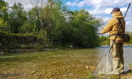 Texas is Giving Away Prizes for Catching Their State Fish