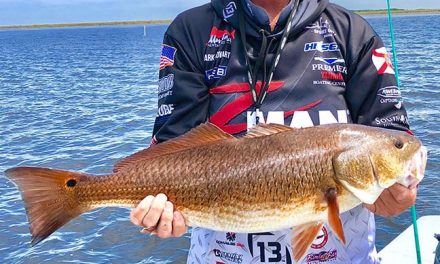 The Texas Rig, Reimagined for Redfish