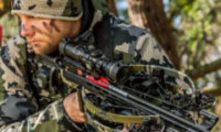 Top 5 Advantages of Reverse-Draw Crossbows