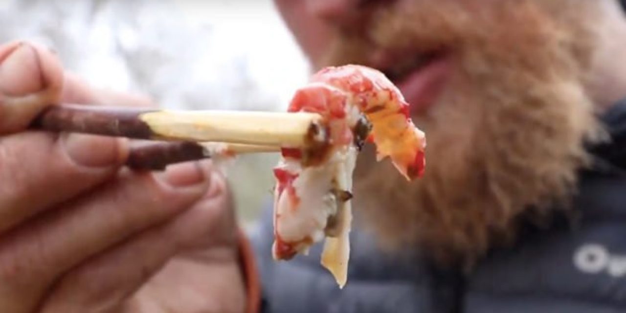 Video: How to Cook Crawfish in the Wild Using Cactus