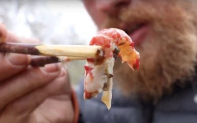 Video: How to Cook Crawfish in the Wild Using Cactus