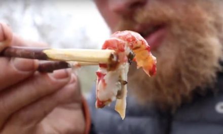 Video: How to Cook Crawfish in the Wild Using Cactus