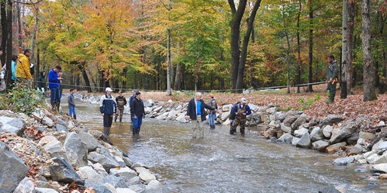 Virginia town partners with Randolph-Macon College to restore local stream