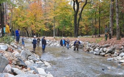 Virginia town partners with Randolph-Macon College to restore local stream