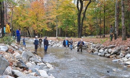 Virginia town partners with Randolph-Macon College to restore local stream