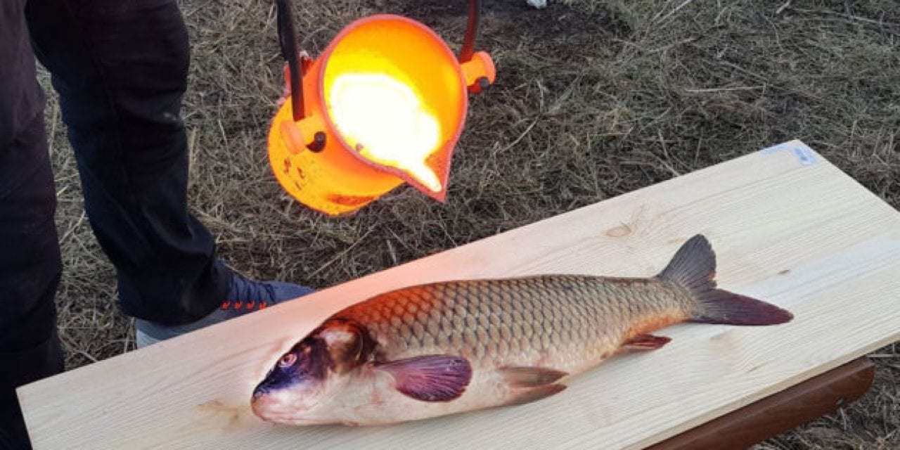 Watch This Experiment to See If You Can Cook Fish With Lava