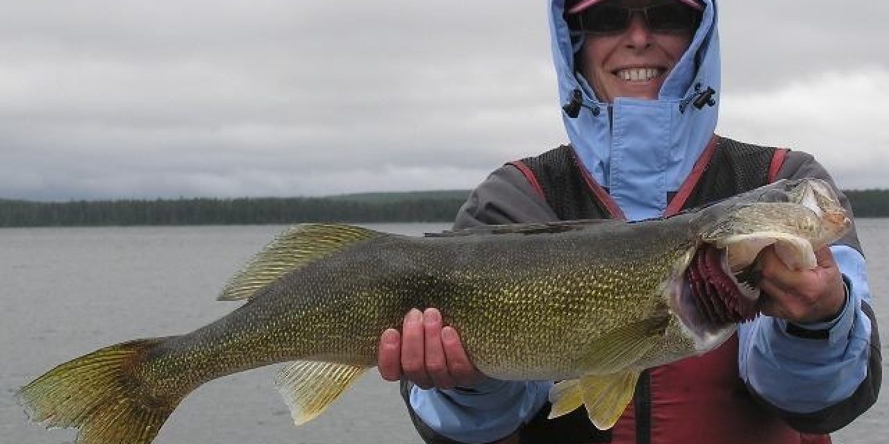 Wawang Lake Resort – TIPS TO CATCHING SPRING WALLEYE