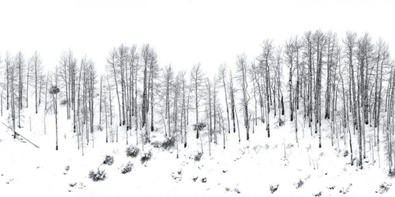 Winter Panoramas And Vertoramas Assignment Winner Wendy Gedack