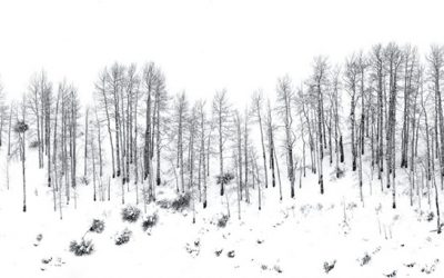 Winter Panoramas And Vertoramas Assignment Winner Wendy Gedack
