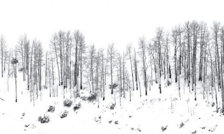 Winter Panoramas And Vertoramas Assignment Winner Wendy Gedack