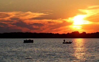 Zebra Mussels Found on Minnesota’s Red Lake