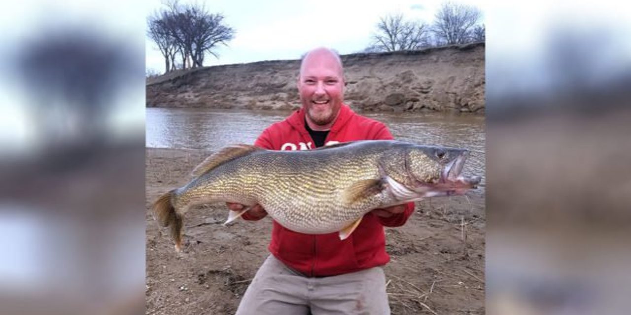 16-Pound, 9-Ounce Walleye Breaks North Dakota Record