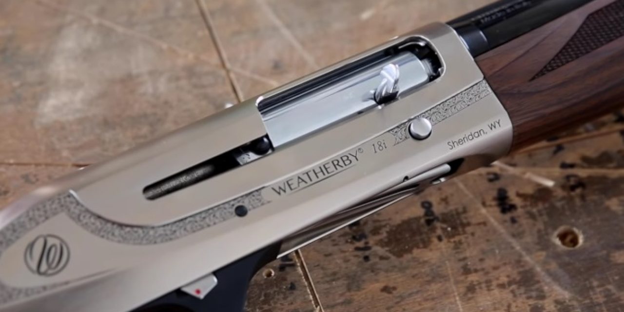 18i Inertia-Driven Shotguns by Weatherby