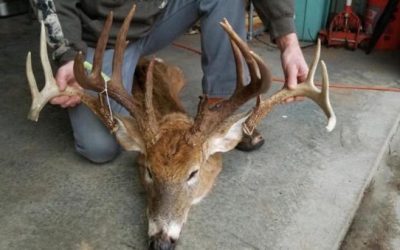 5 Thoughts On the 2018 New York Deer Harvest