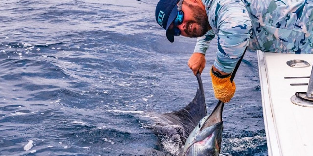 $500 Million Generated For Costa Rica By Sportfishing