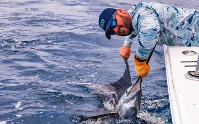 $500 Million Generated For Costa Rica By Sportfishing