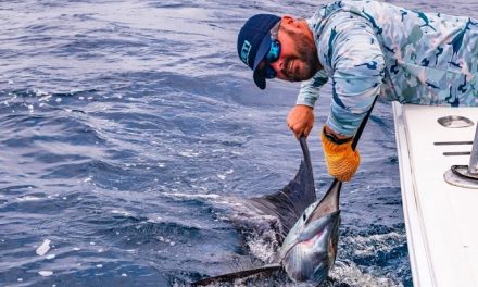 $500 Million Generated For Costa Rica By Sportfishing