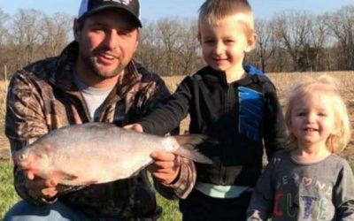 Angler Lands Missouri State Record Gizzard Shad