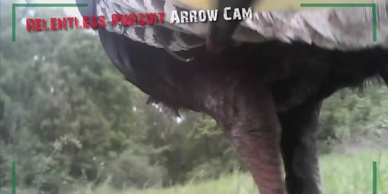Arrow-Mounted Camera Captures Turkey Hunting Like Never Before