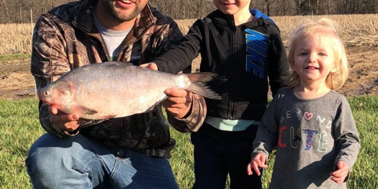 Augusta angler snags state-record gizzard shad