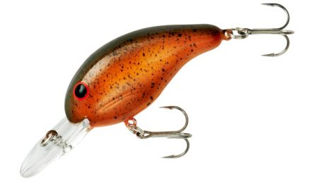 Bandit Lures – Where are shallow bass in early March