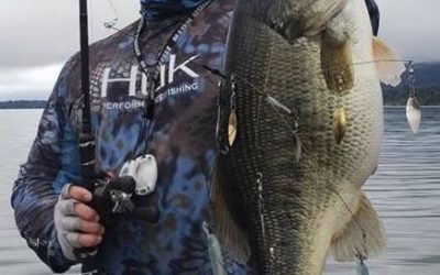 California’s Clear Lake Produced A Giant During Pre-Fishing