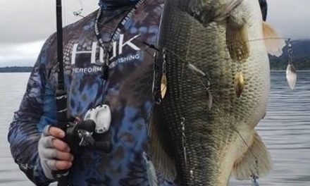 California’s Clear Lake Produced A Giant During Pre-Fishing