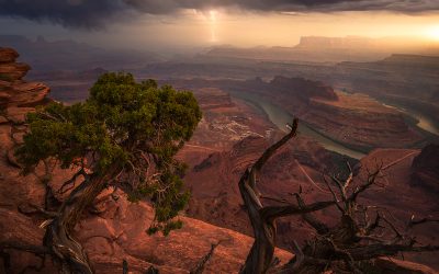 Calm Before The Storm Assignment Winner Joshua Snow