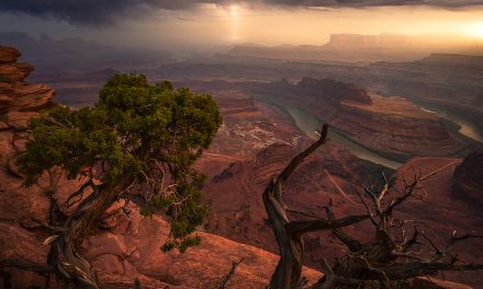 Calm Before The Storm Assignment Winner Joshua Snow