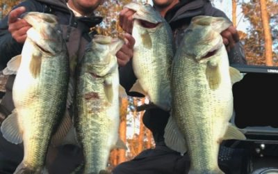 Cobb Puts It Away On Lake Hartwell’s Bassmaster Elite Event
