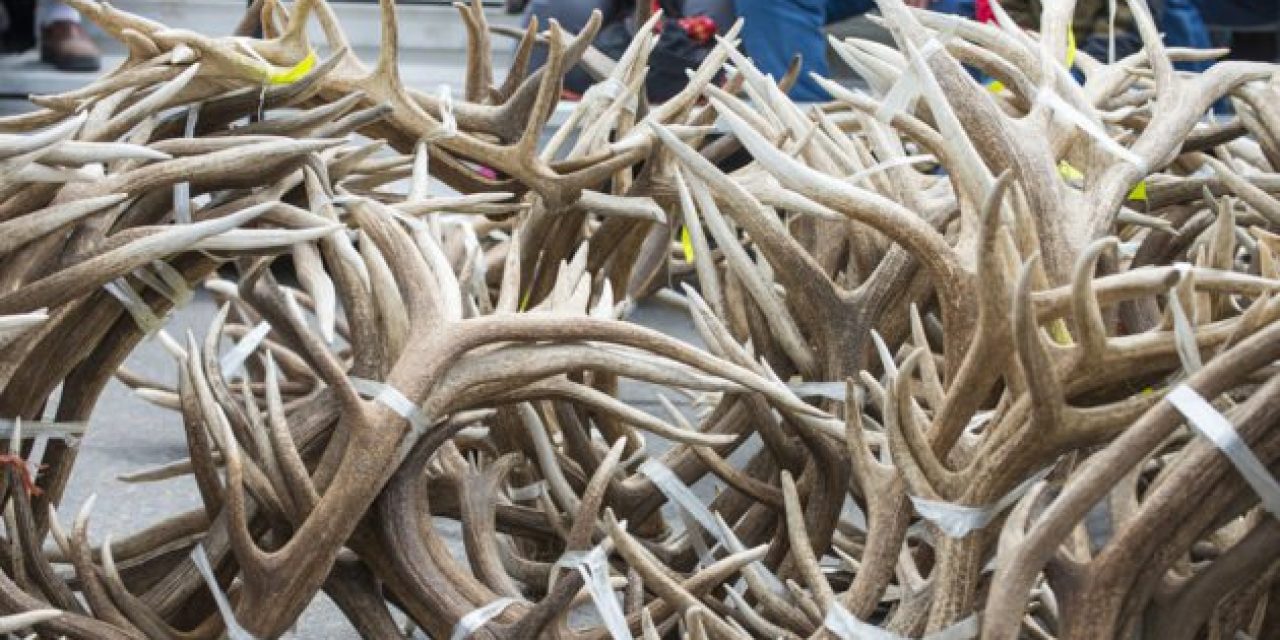 Do You Need Better Tips for Finding Sheds? Follow This Advice