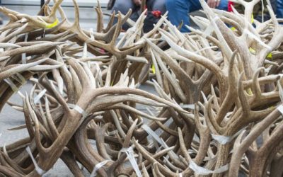 Do You Need Better Tips for Finding Sheds? Follow This Advice